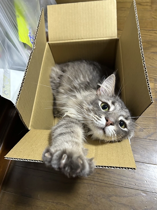 支援者の皆さまの声に励まされています