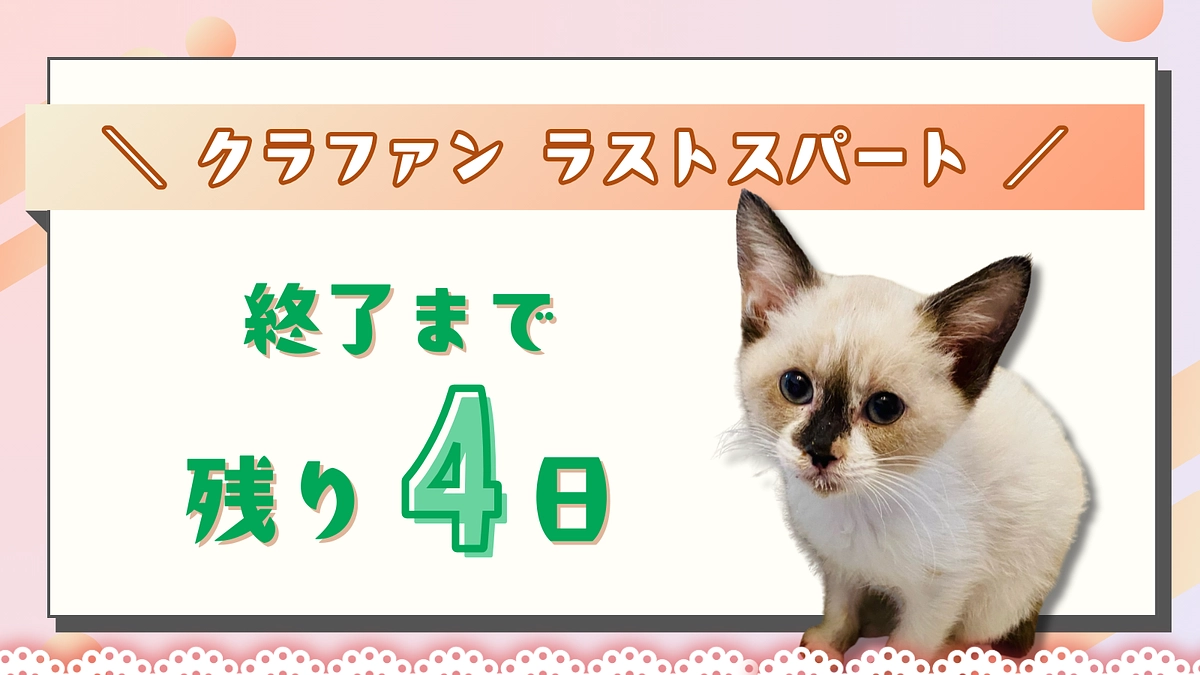 カウントダウン ＼終了まで残り4日！／ 