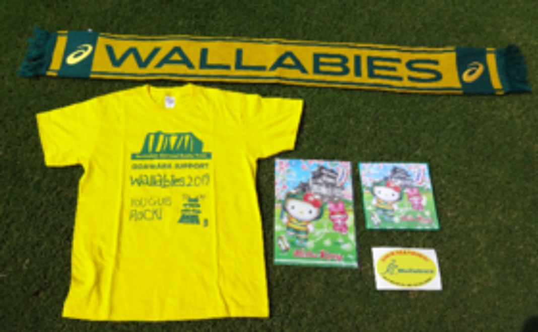 【限定30セット】<ラグビーファン向け!>ワラビーズ応援コース