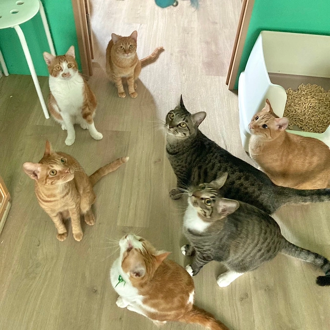 ご支援者様へのご連絡