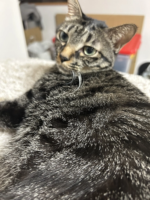 終了まであと７日！