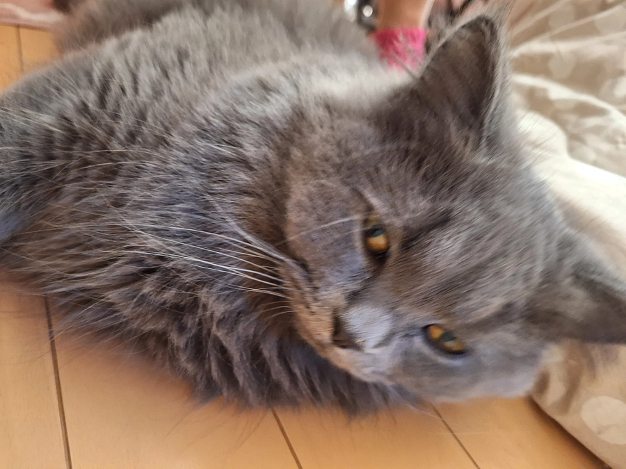 お薬もあと５日☘️