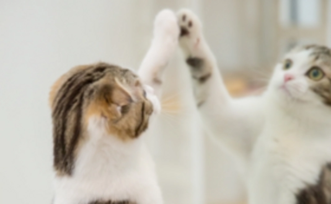 【お気持ちコース】