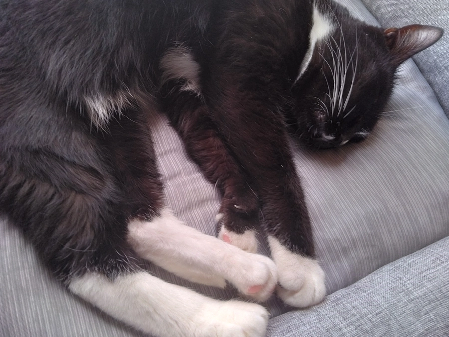 6/30はなちゃんの様子