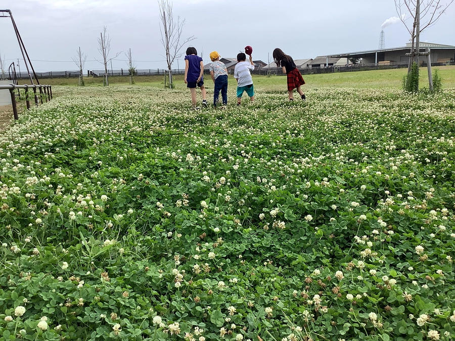 今日はBremen 会館で無料学習会。勉強が終わるとこんなことになります(笑)