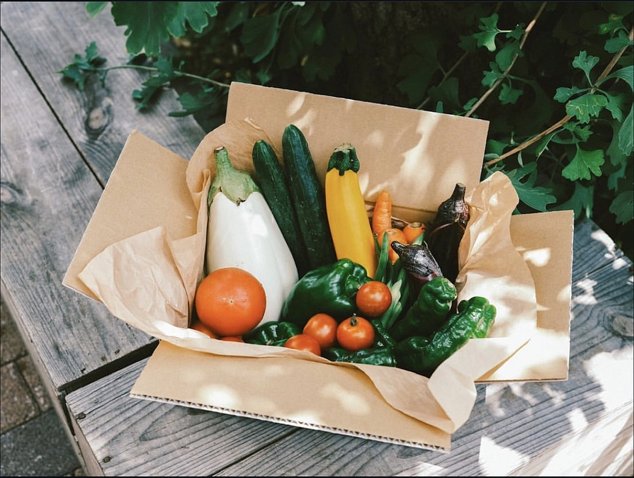 リターン発送　伊藤農園さんお野菜set