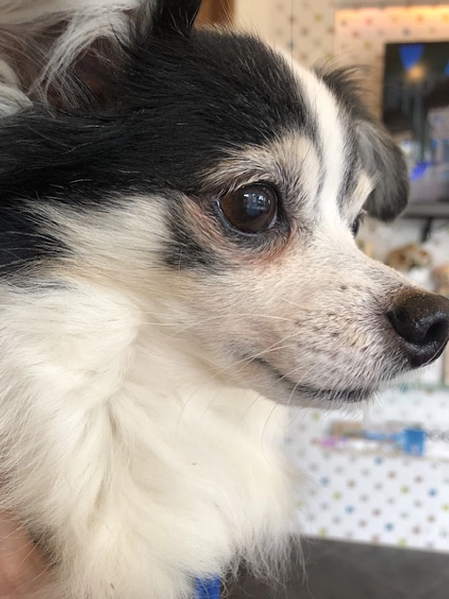 引き続き通院を頑張っています🏥