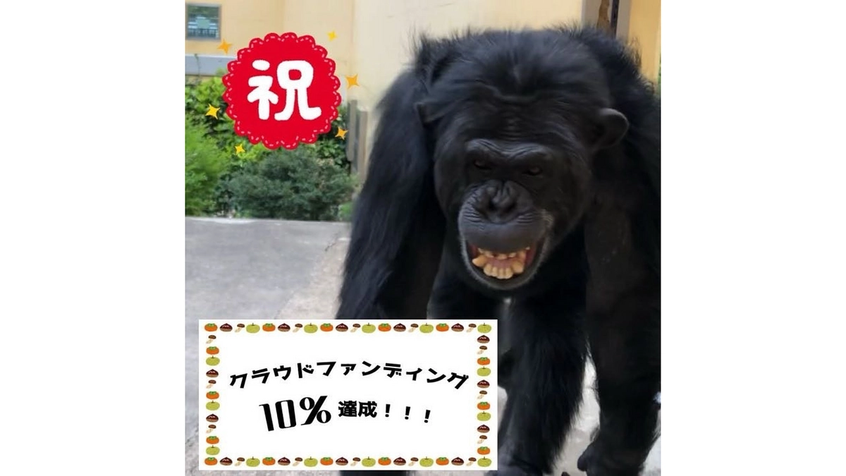 クラウドファンディング１０％達成しました！