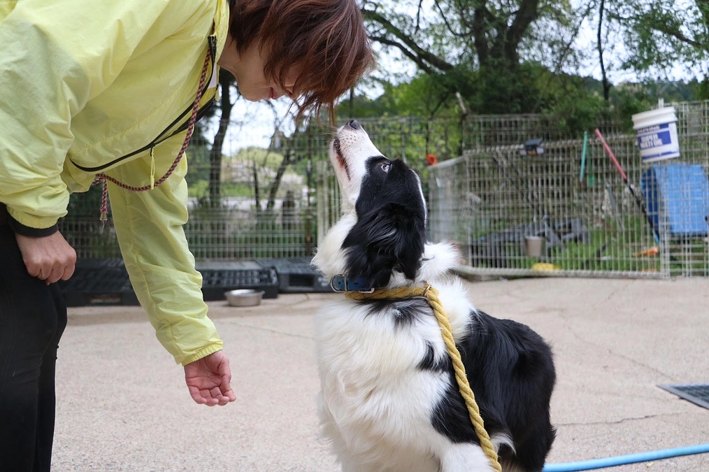【1400万円突破しました！】動画でみるおっぽの会〜ボランティアけーこさん編〜