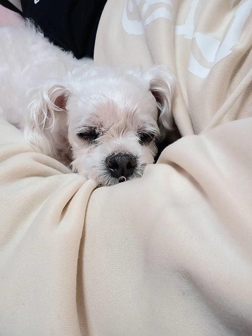 温かくなってきましたね(⁠•⁠‿⁠•⁠)