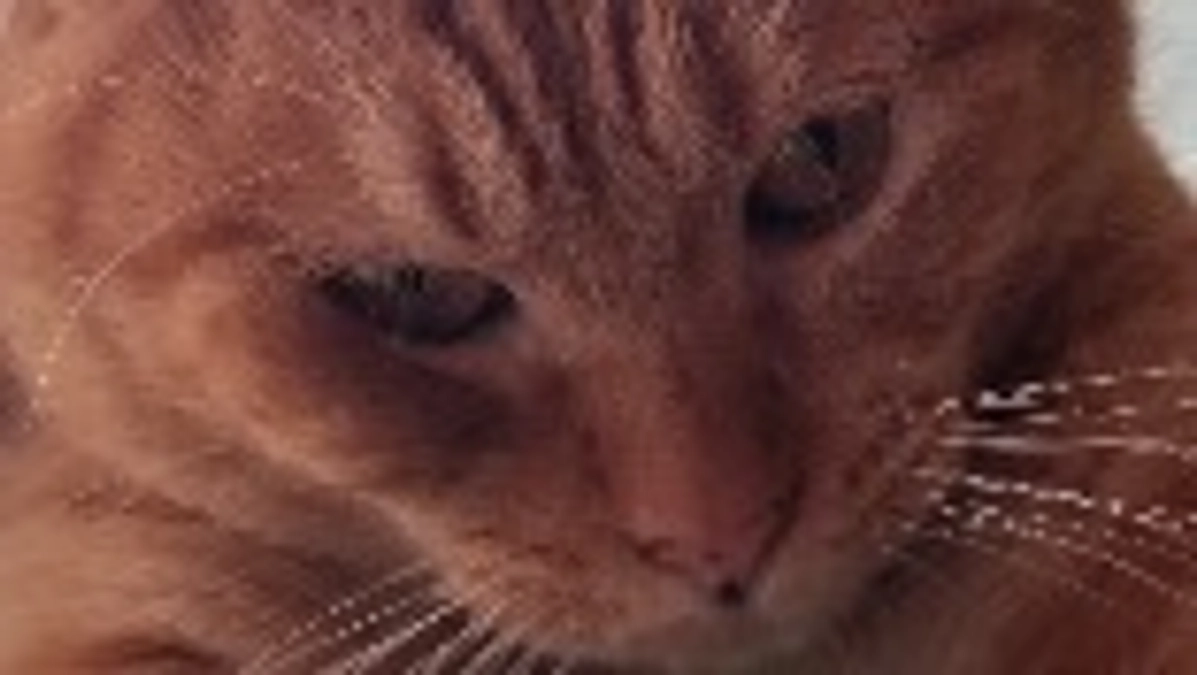 60%達成できました。