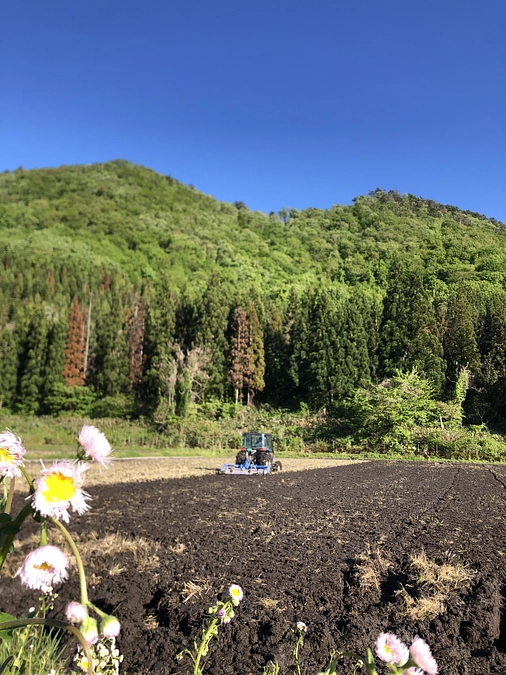 いよいよ田植え！