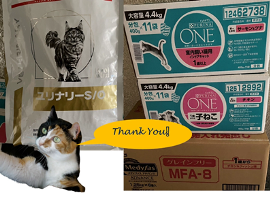 【1100万円 突破記念‼️】YouTube LIVE 明日配信です🔥   