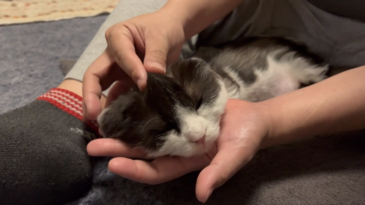 11/20〜21のテオくんの様子