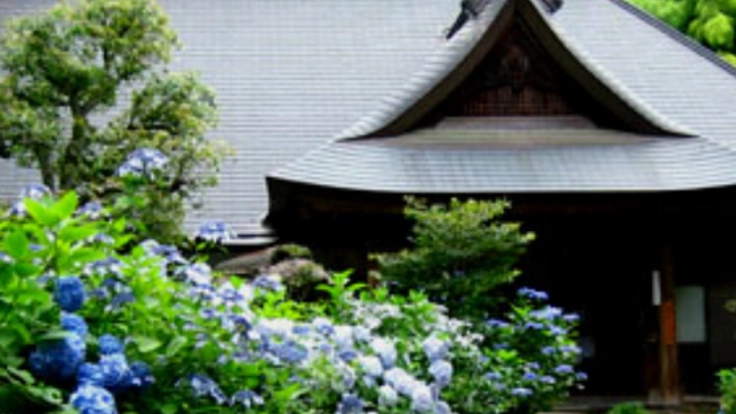 創建1604年「箱根あじさい寺」参道を整備し、多くの方とご縁を。