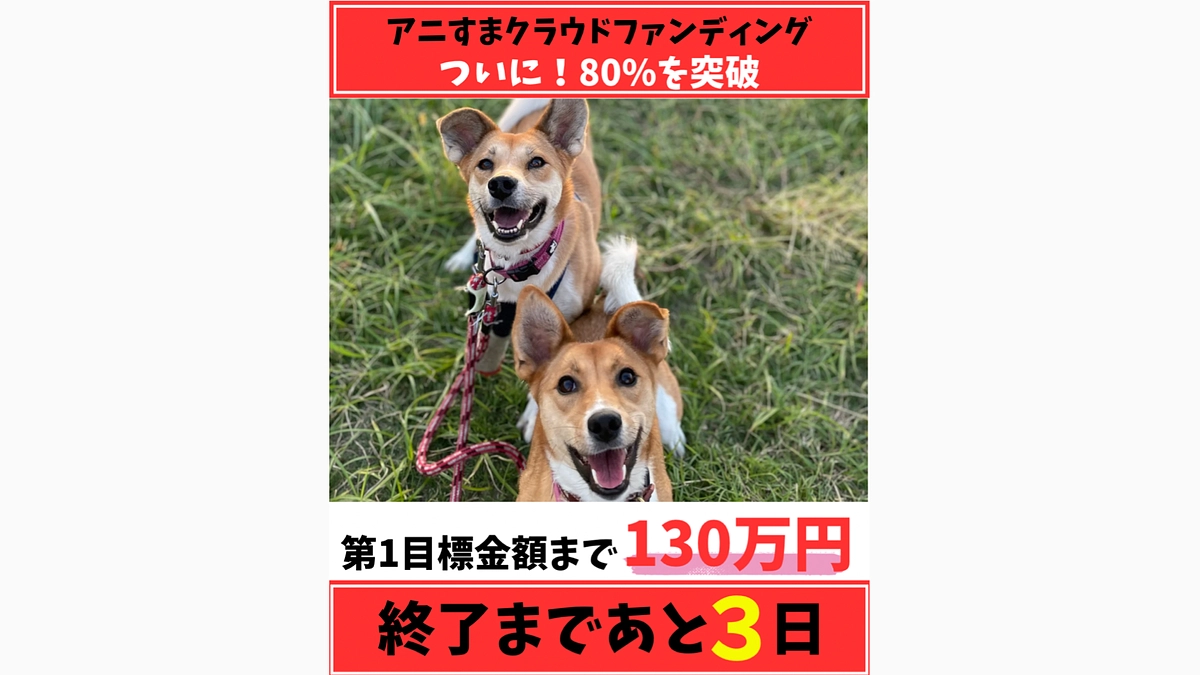 あと3日/目標額80%を突破しました‼️
