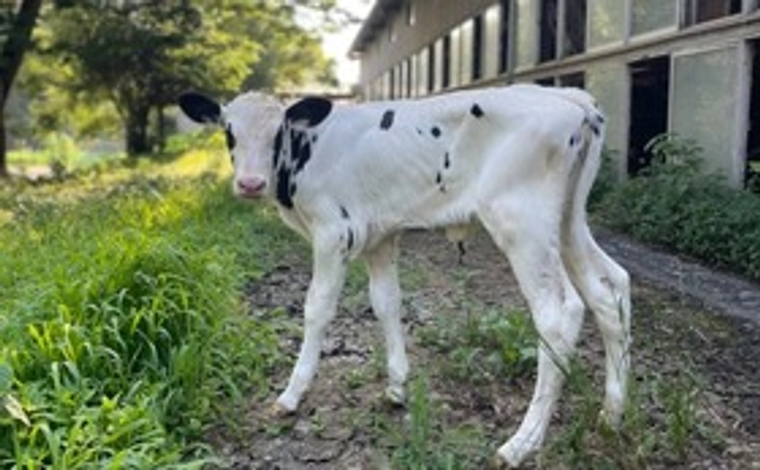 全力応援コース｜3,000円