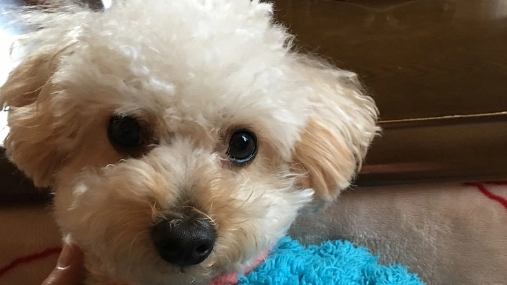 良い人材を育て会社を大きくしたいと思っています