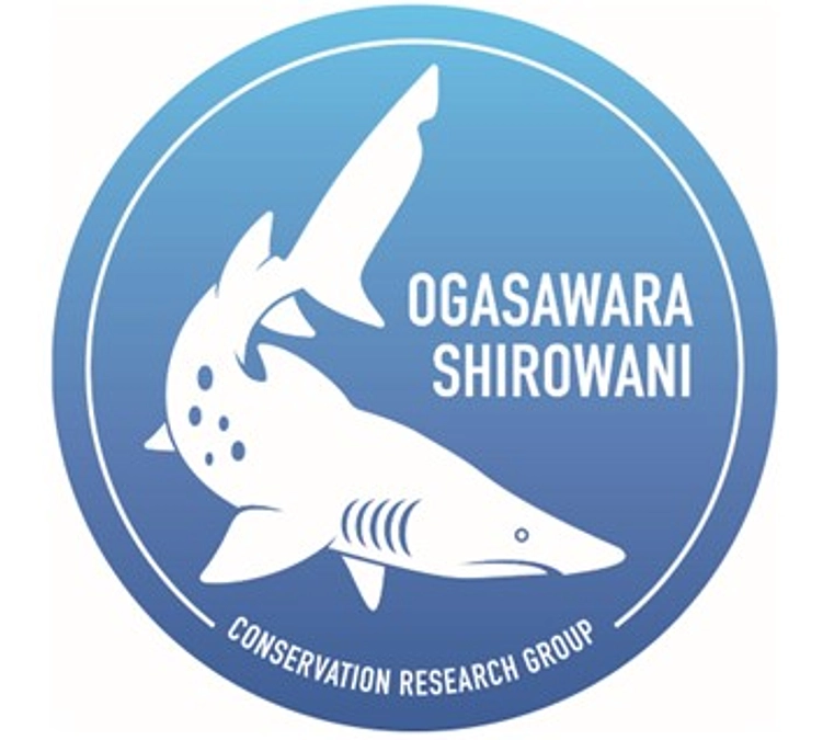2025年6月小笠原シロワニ調査活動報告書