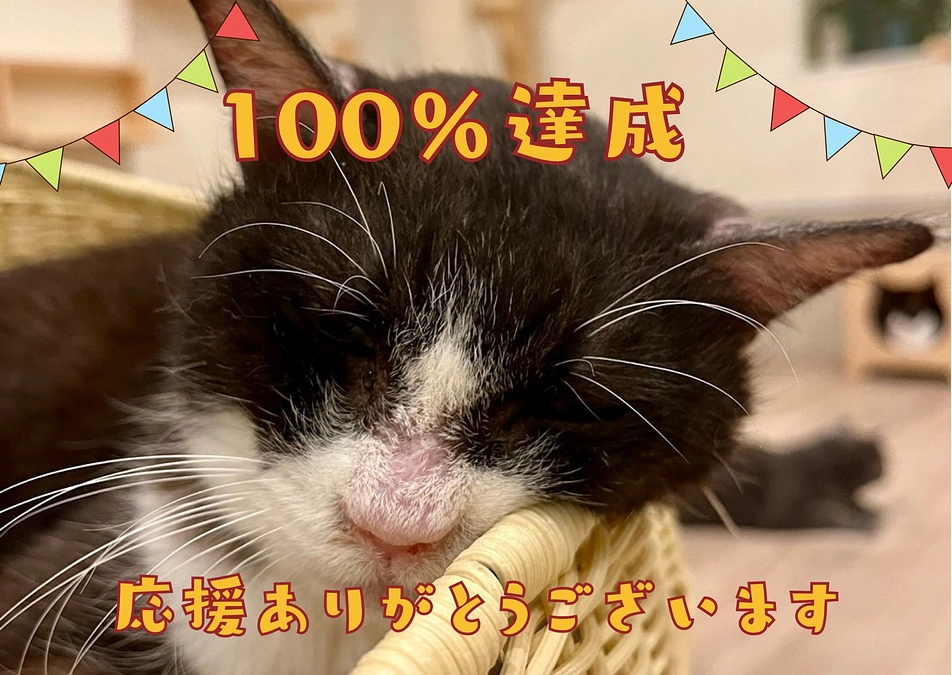 100% 達成 ありがとうございます‼️