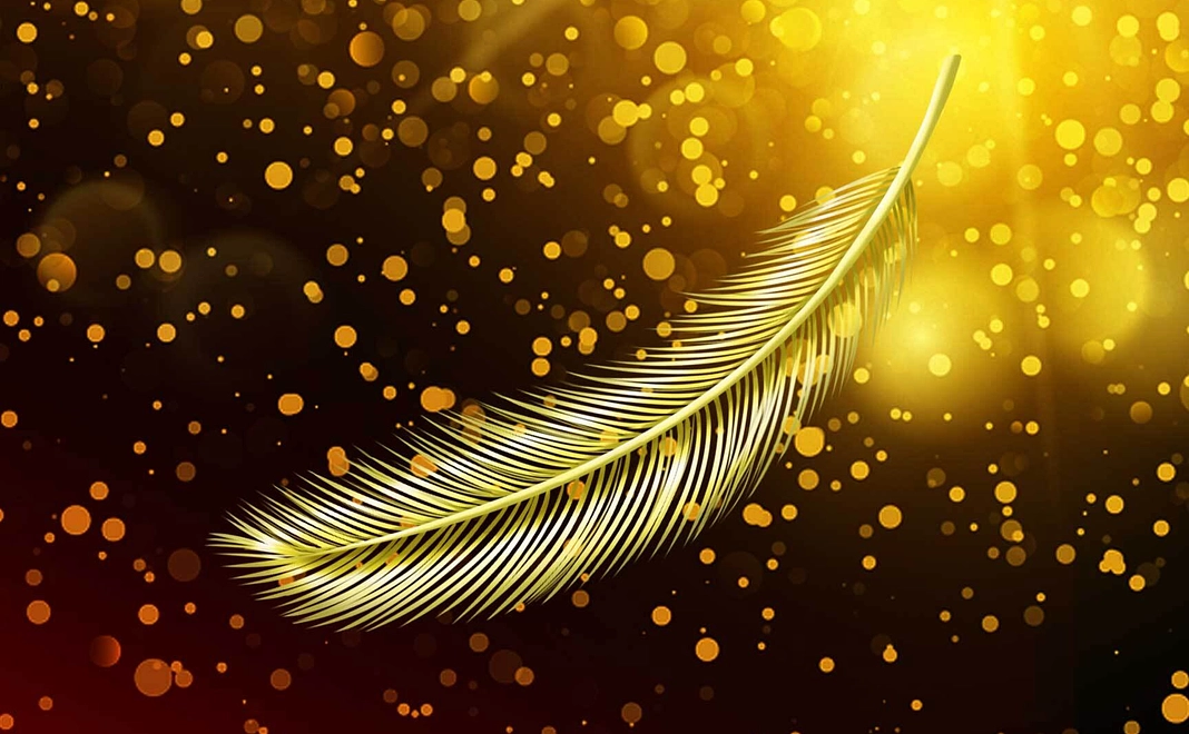 金の羽 2枚（支援のみコース）