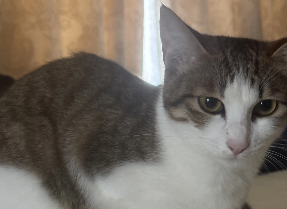 投薬58日目のご報告