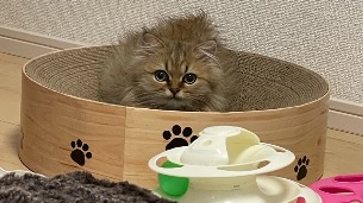 少し元気に過ごせた日