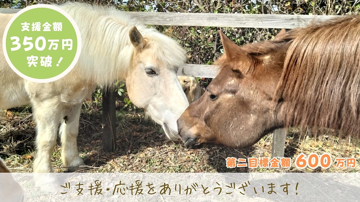 【350万円突破！】あたたかい応援コメントの数々に、紡っ子たちと共に心より感謝申し上げます