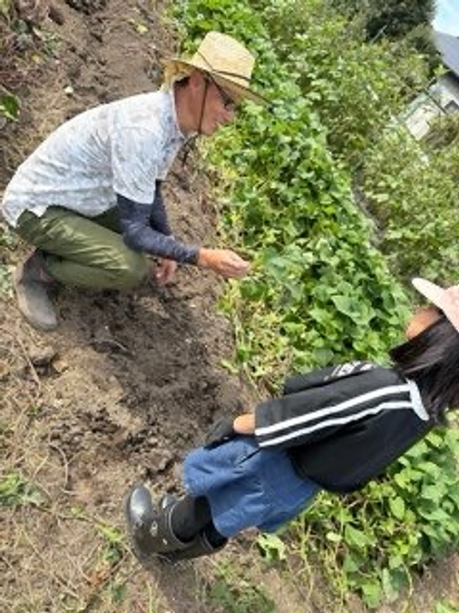 さつまいも掘り🍠体験会1回目‼️