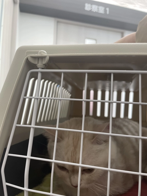 検診行ってきました🏥