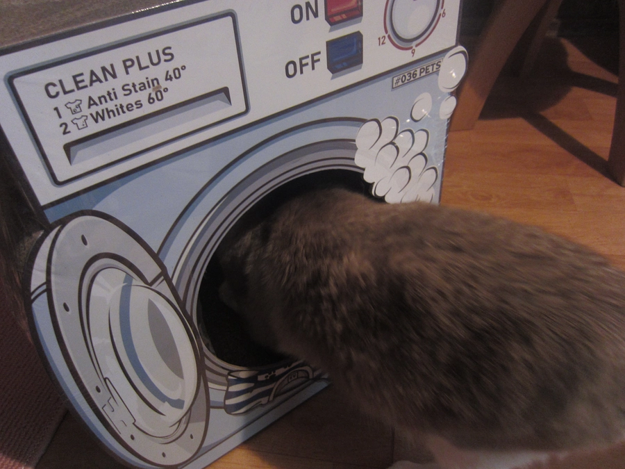 最近夜にテンション高めです