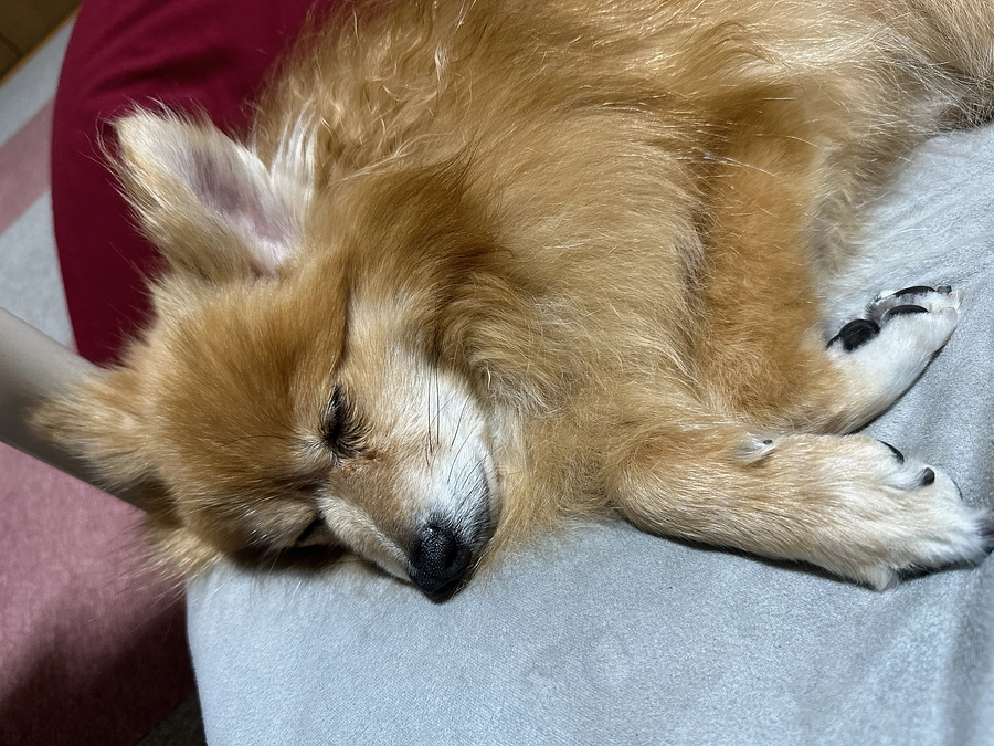 手術について。残り12日達成度9%残り162.7万円