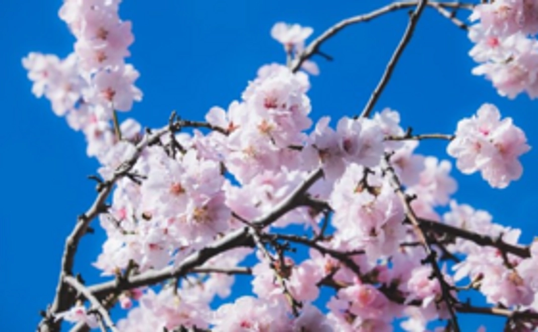 10000円のリターン