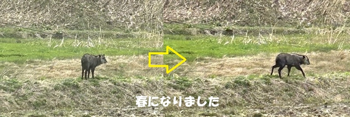 ２０２５年版　会報ができました☆彡