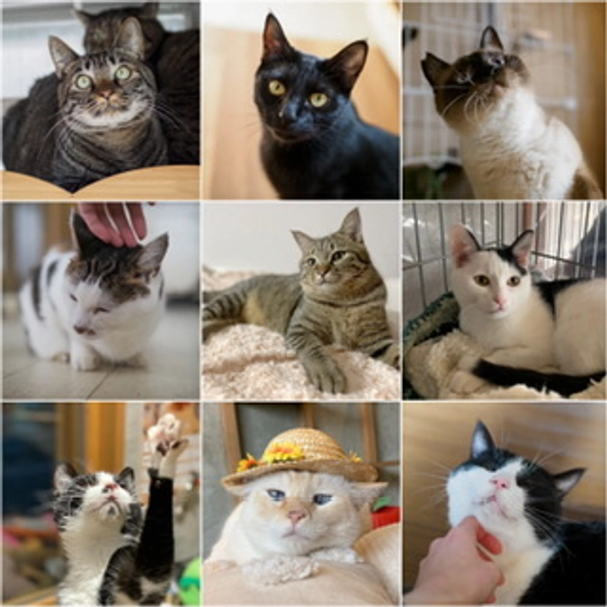 クラウドファンディング終了まで､あと5日‼️