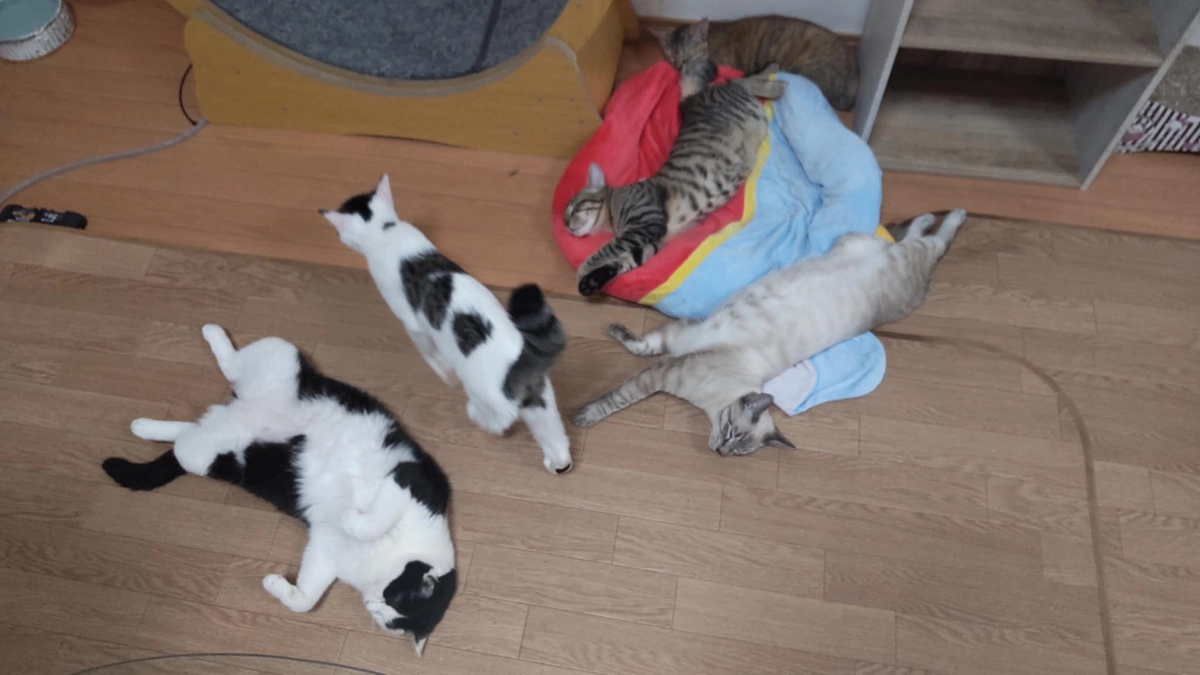 残り１日になりました！