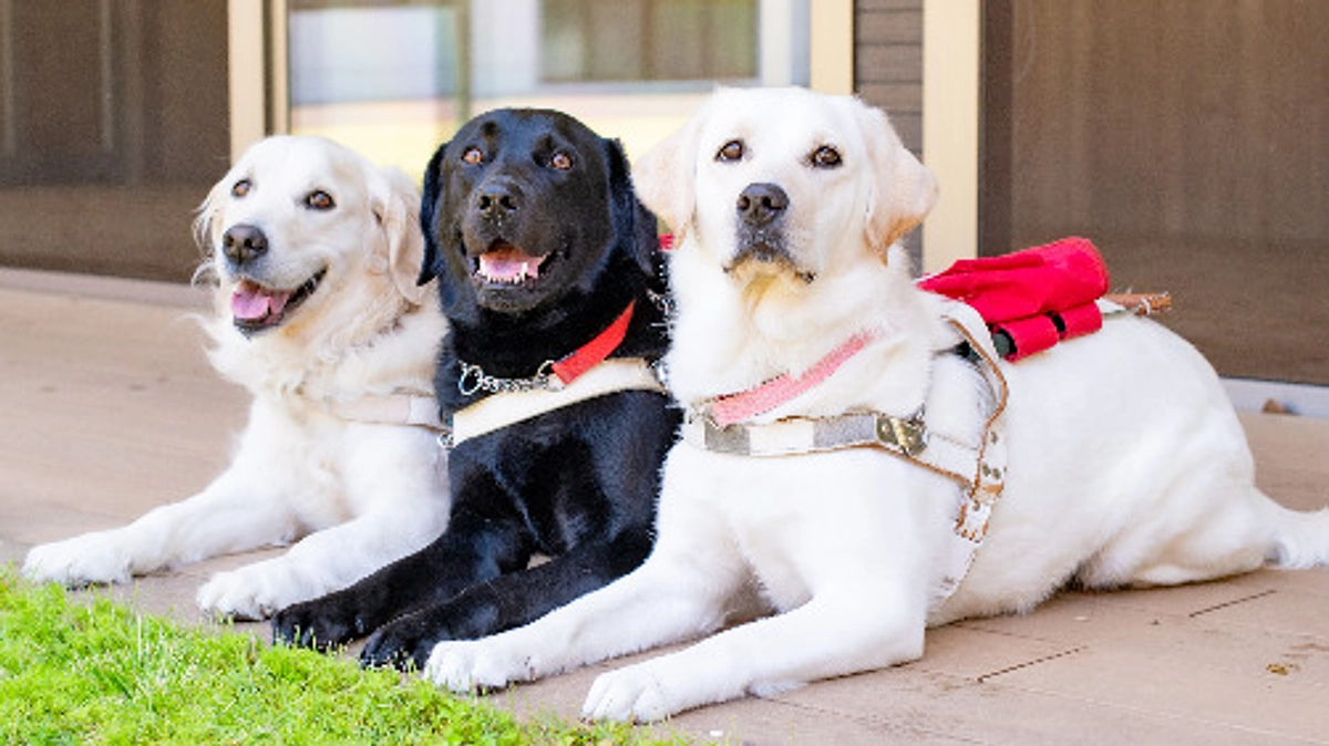 クラウドファンディング開始しました！