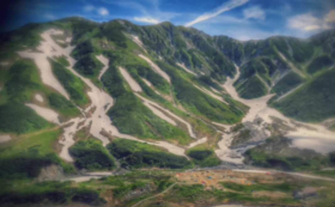 活動報告ページご招待×写真3枚（使用権付与）