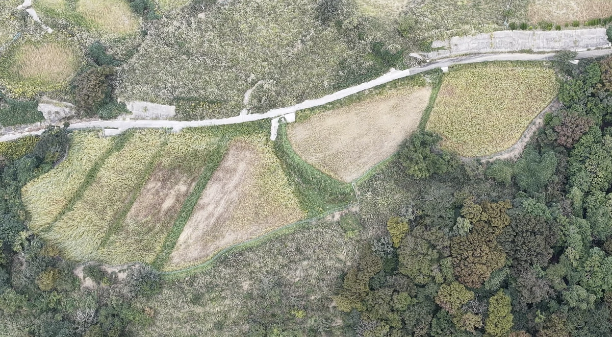 クラウドファンディングが終了しました。多くのご支援ありがとうございました。