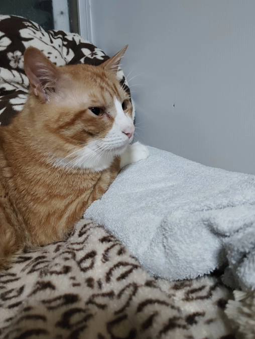 新たなプロジェクトをさせてもらってます。