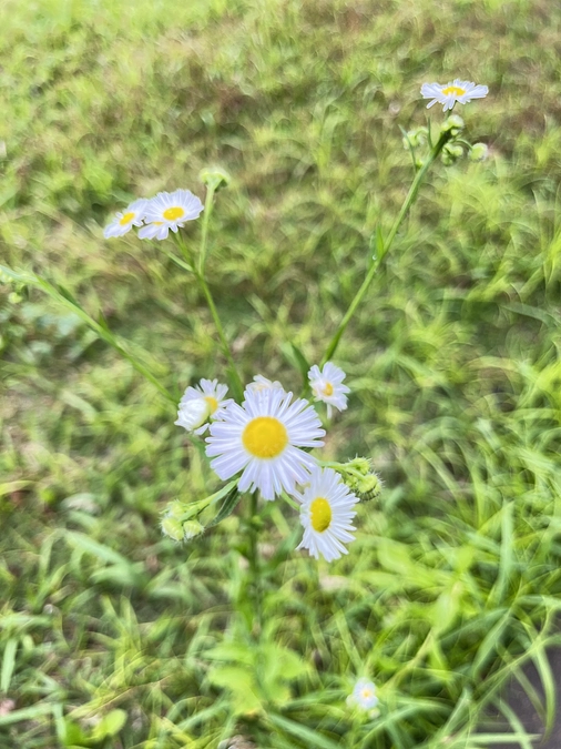 子どもの居場所への今後のご寄附のご案内