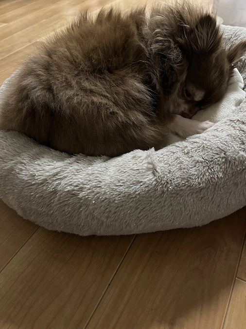 ご協力ありがとうございました✨