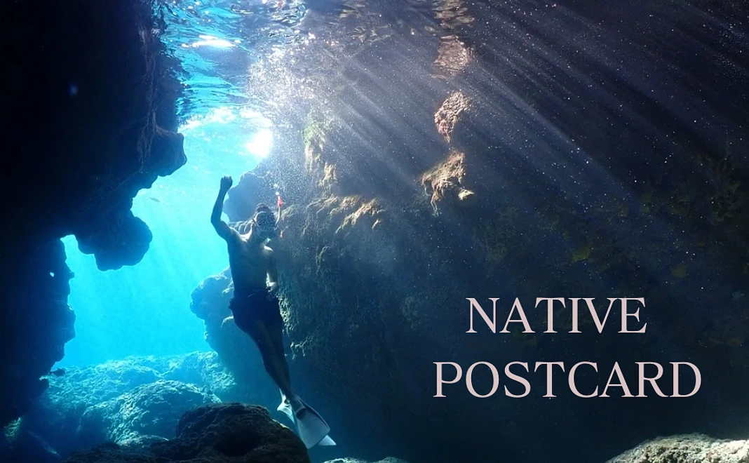 ネイティブポストカード