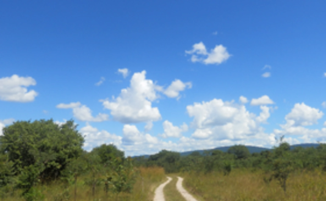 【10,000円】大空コース