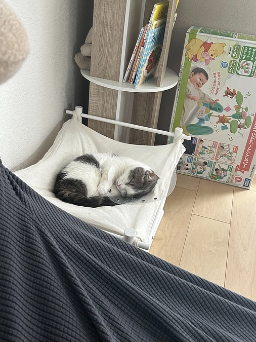 クラウドファンディング挑戦します。