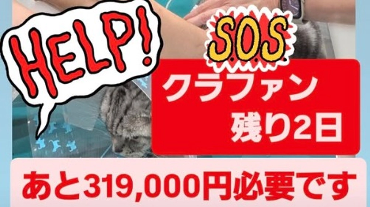 クラファン終了まであと2日‼️