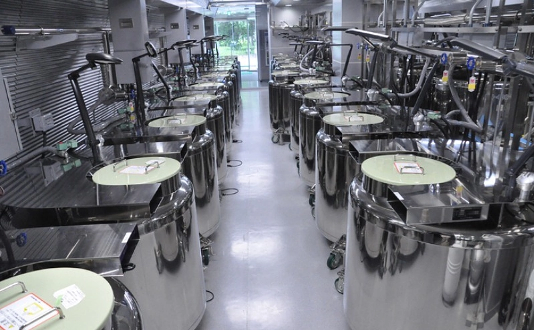 【スタンダードコース】1万円｜あなたの想いを、絶滅危惧種の多様性とともに未来へ。お名前掲載