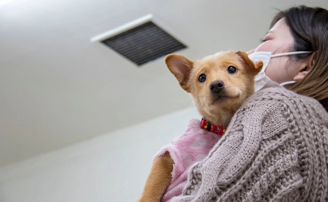 1000円応援コース（応援のみ）