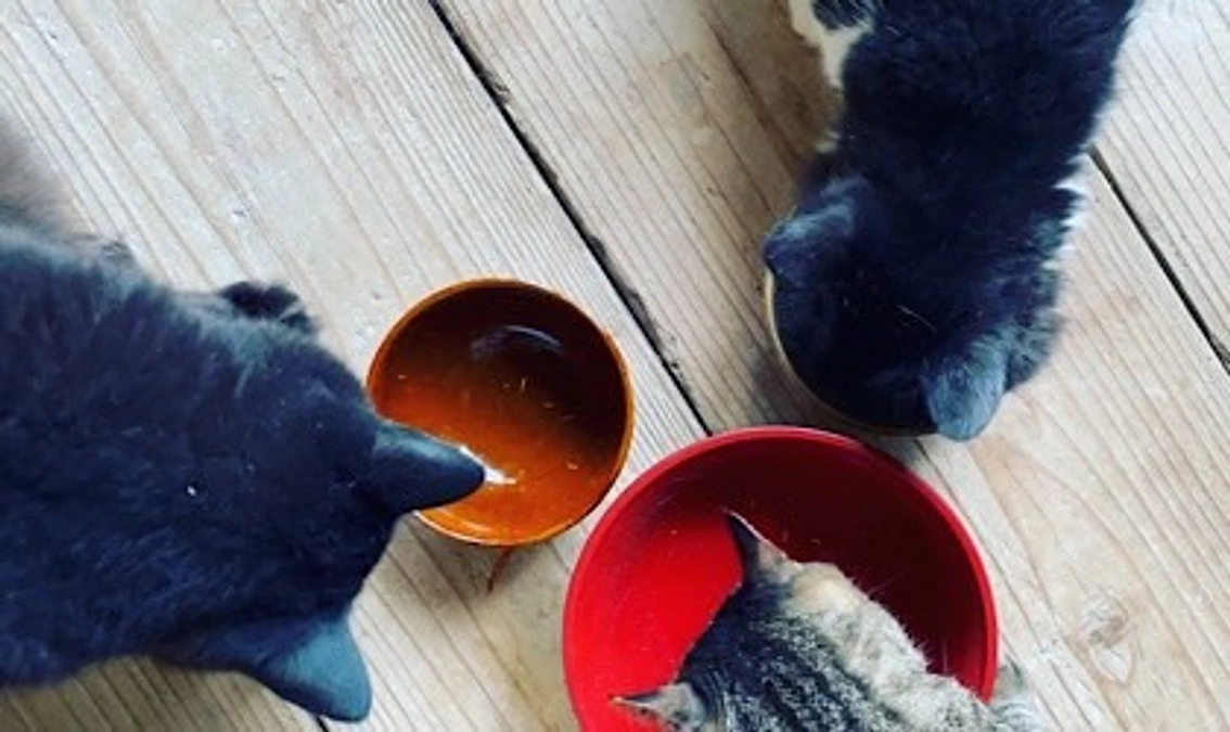 リターンお礼メッセージ★すべての方へお届け完了です❣