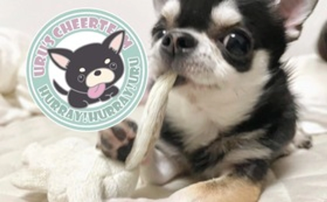 うるちゃんスーパー応援！